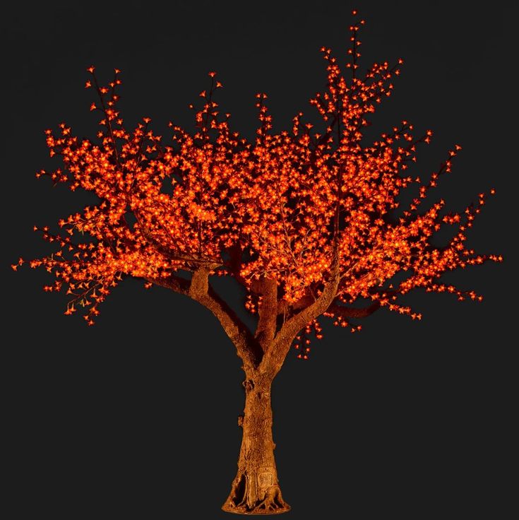 a tree with red lights on it in the dark