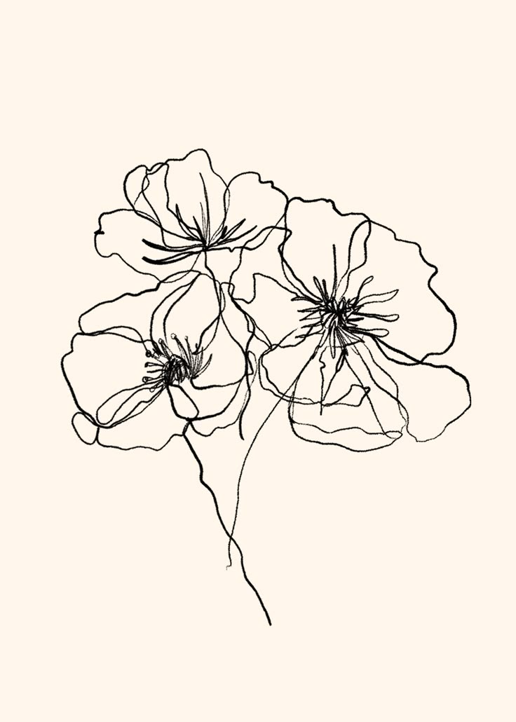 an ink drawing of three flowers on a white background