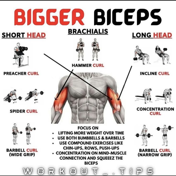 how to grow bigger biceps in the gym with pictures and text on it