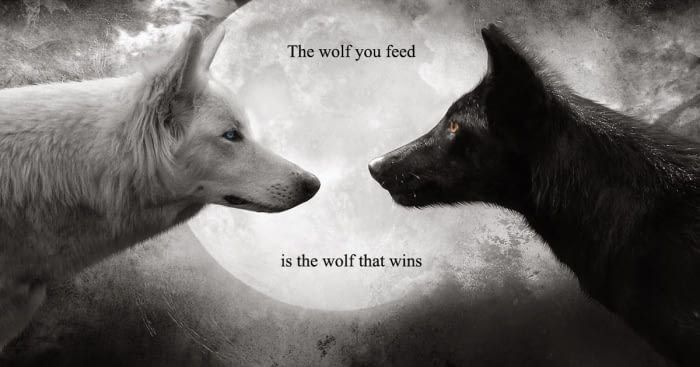 two wolfs facing each other in front of a full moon with the words which wolf do you feed?