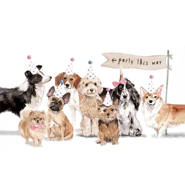 a group of dogs standing in front of a party sign