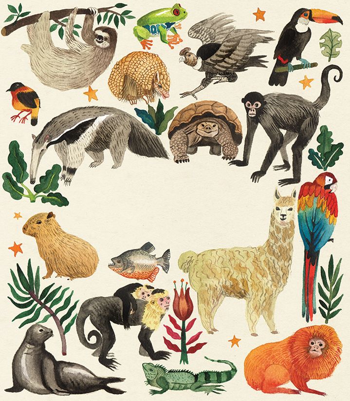 an illustration of different types of animals and plants