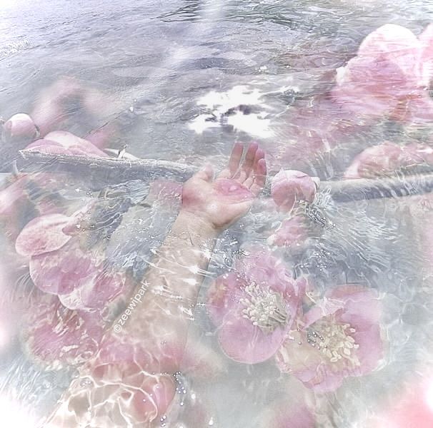 some pink flowers in the water and one person is holding their hand out to touch it