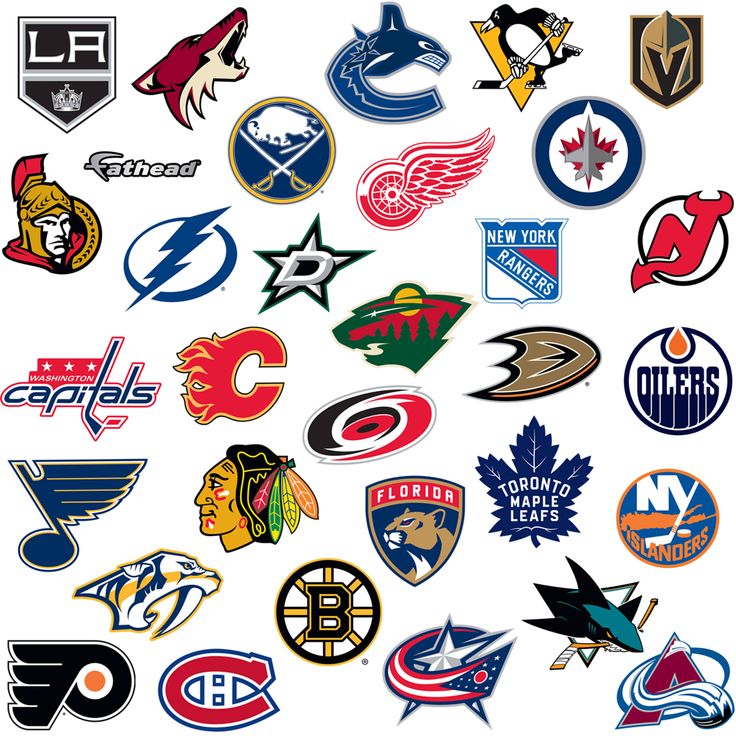 many different hockey teams logos are shown in this image, including the logo for each team