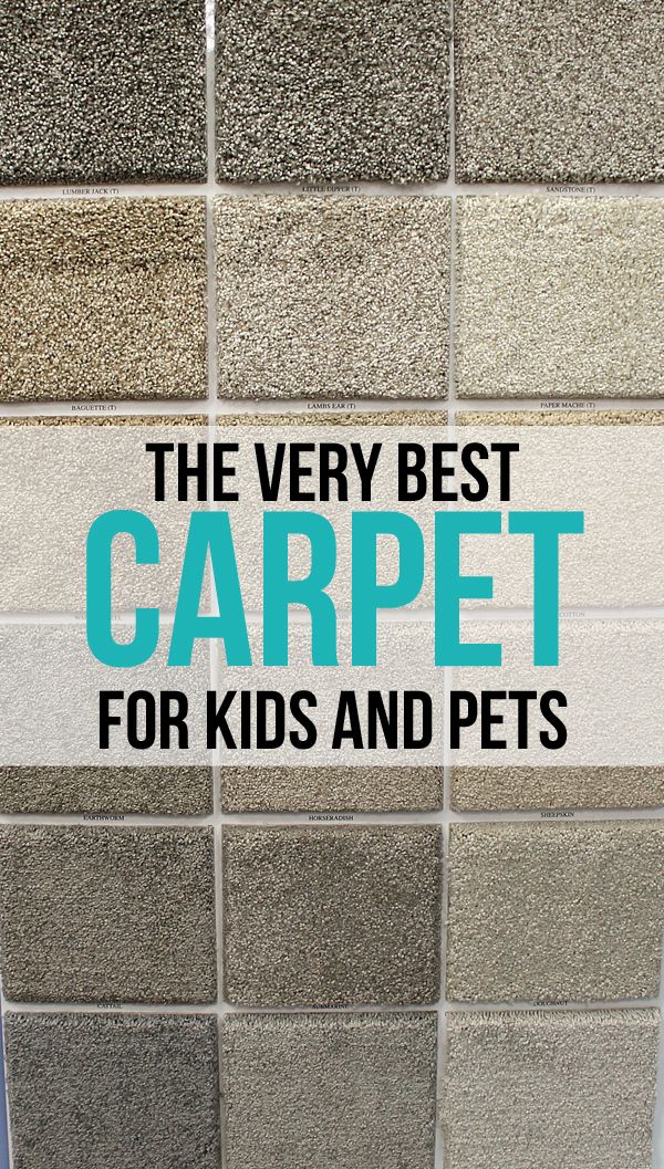 the very best carpet for kids and pets is on display in front of a tiled wall