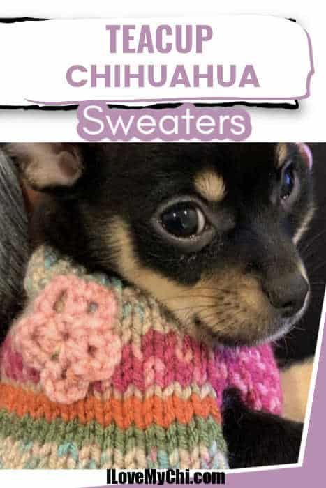 a small dog wearing a sweater with the words teacup chihuahua sweaters above it