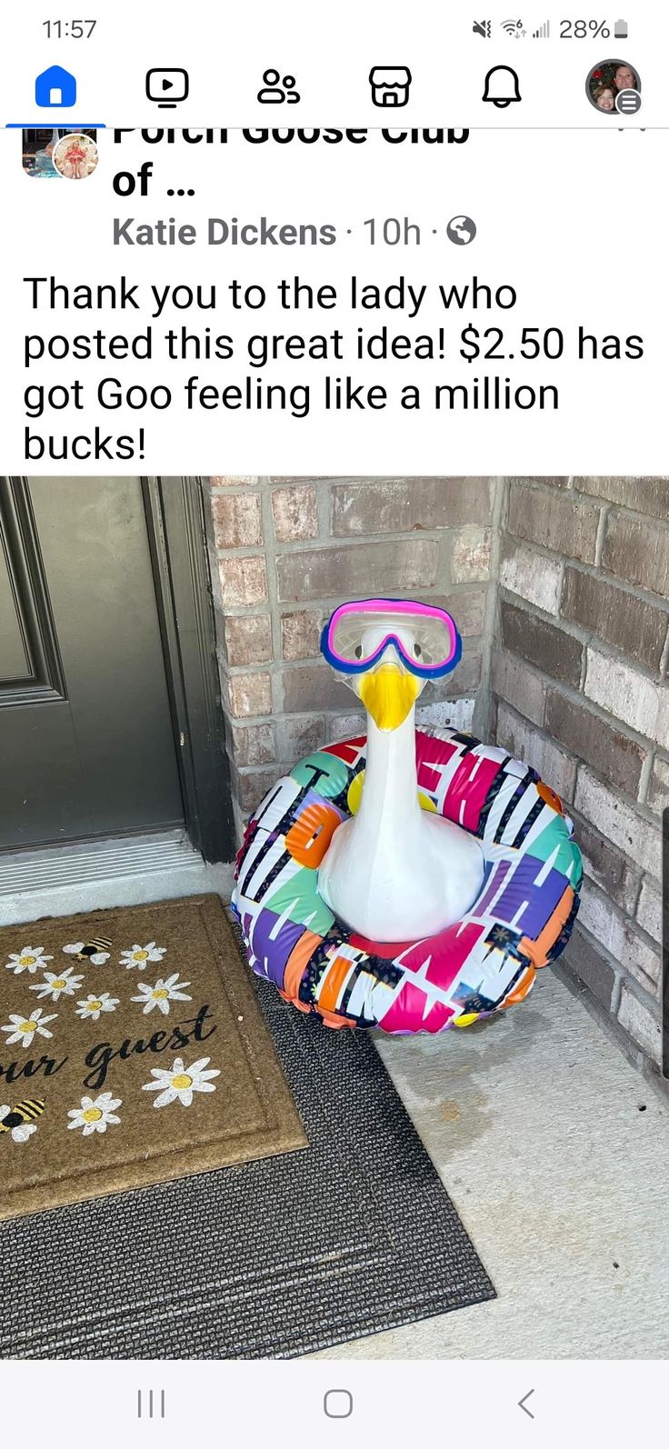 an image of a duck in a swim suit on the front porch with a thank you to the lady who posted this great deal $ 2 50 has got