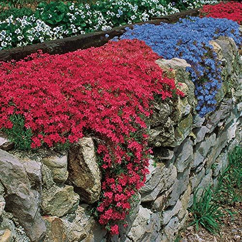 colorful flowers are growing on the side of a stone wall in a flowerbed garden