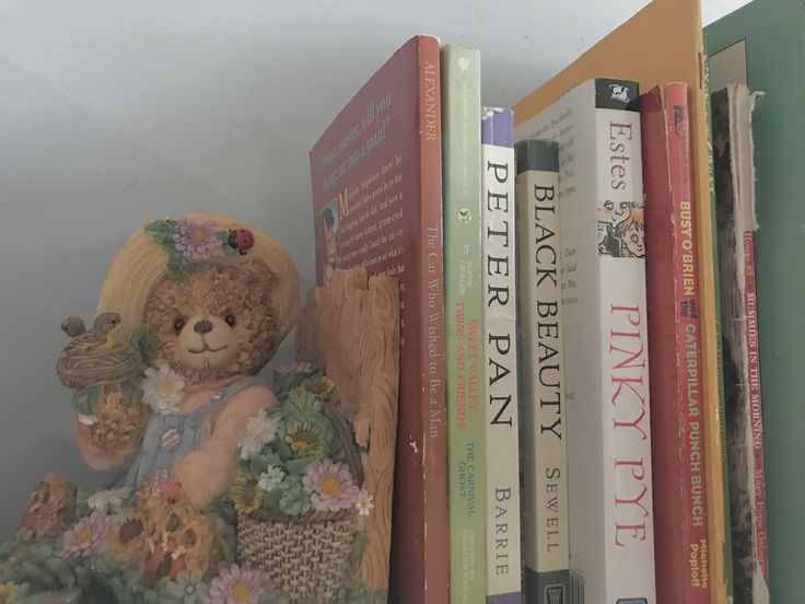 a teddy bear sitting on top of a bookshelf next to several other books