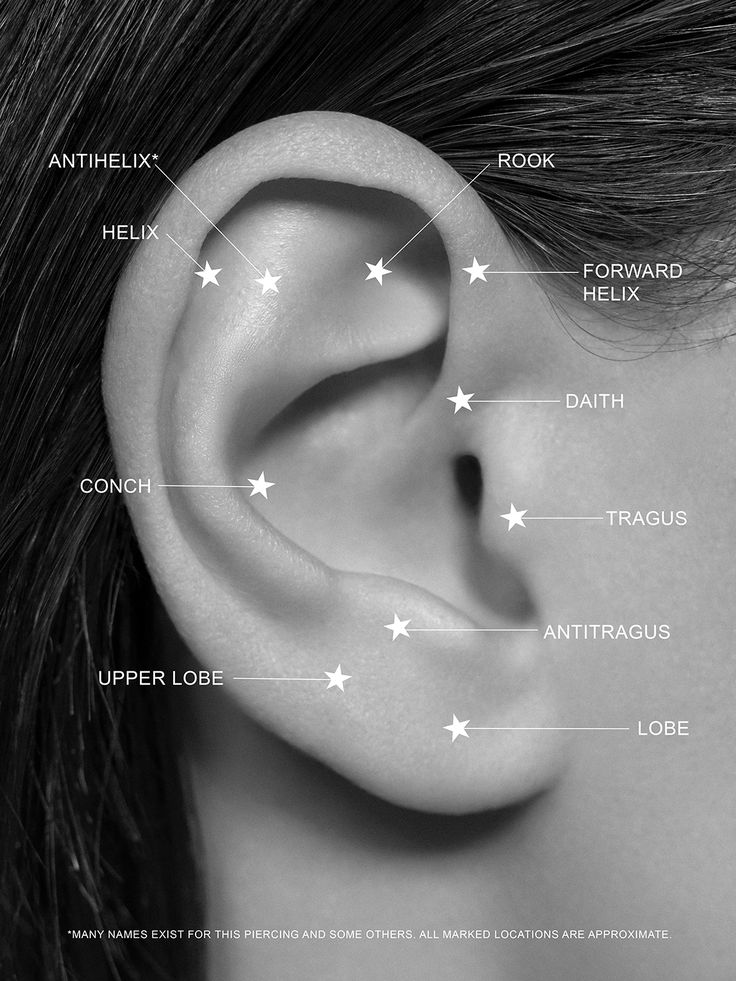 an ear with different parts labeled in it