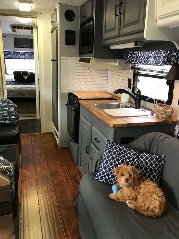 a dog sitting on a couch in the back of a camper with kitchen and living room