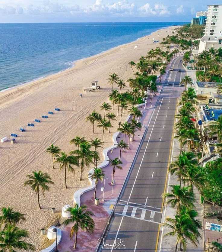 an aerial view of a beach with palm trees