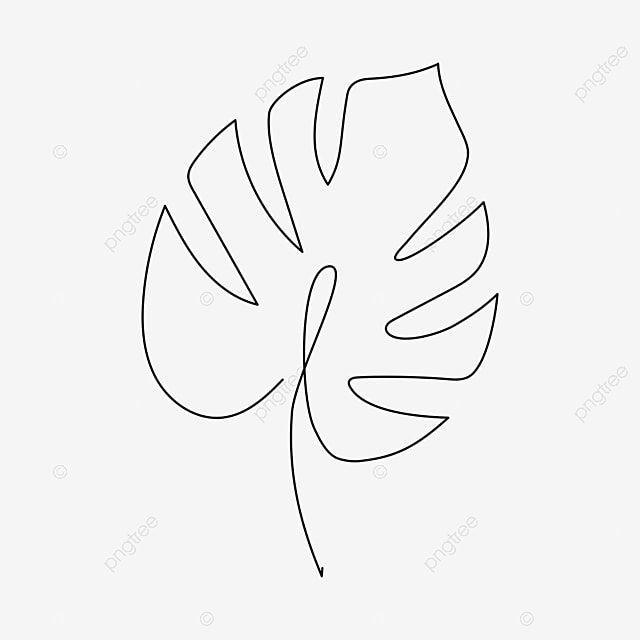 a black and white line drawing of a palm leaf on a light gray background, plant, outline png and psd