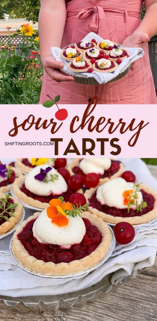 a woman holding a plate with desserts on it and the words sour cherry tarts