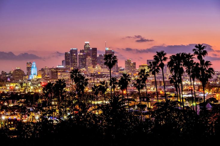 the city skyline is lit up at night, with palm trees and buildings in the foreground