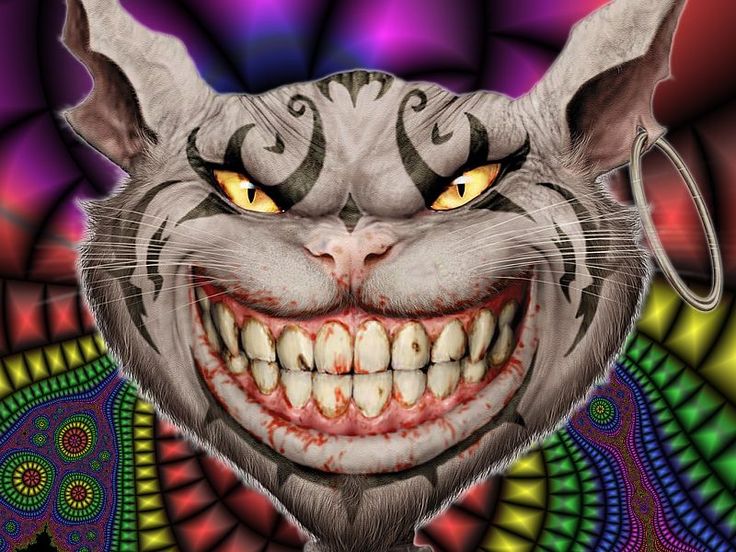 Cheshire Cat Quotes, Halloween Alice In Wonderland, American Mcgee, American Mcgee’s Alice, Giant Bomb, Alice Madness Returns, Alice Book, Alice Madness, Cat Sculpture