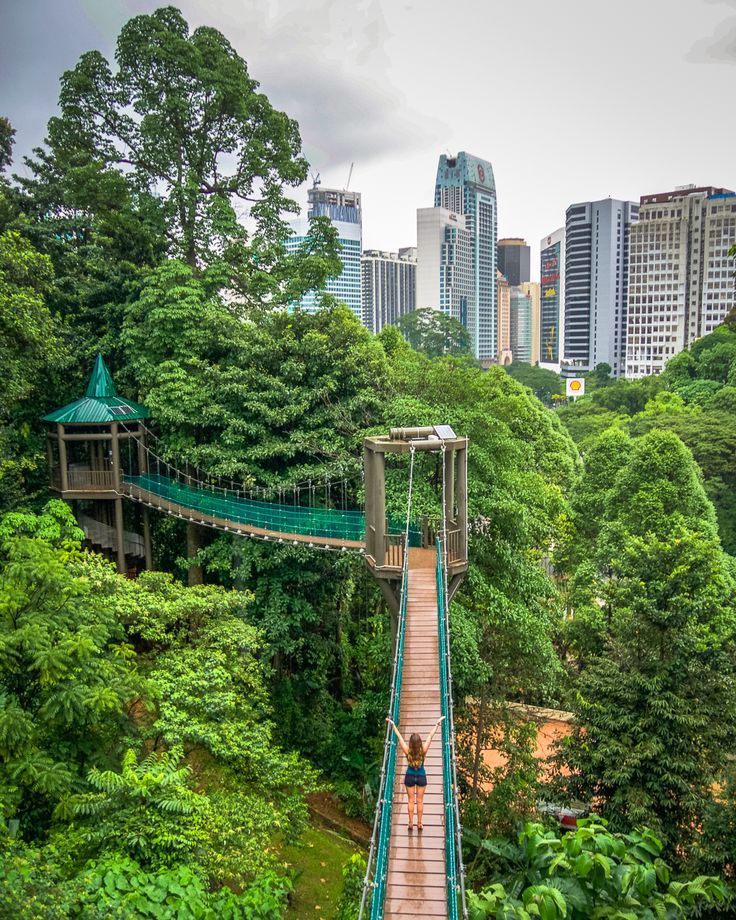 two people walking across a suspension bridge in the middle of a forest with tall buildings in the background