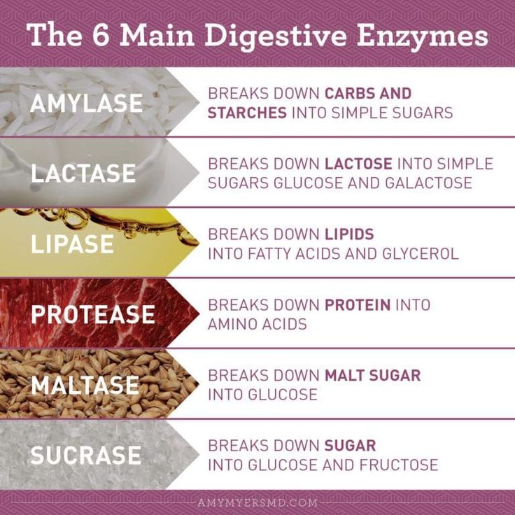 the 6 main digests for eating carbohydrates and how to use them