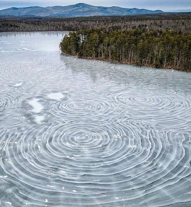 an aerial view of a lake with many circular patterns on the water and trees in the background