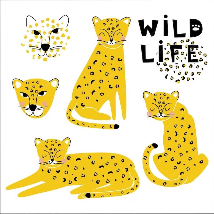 an image of wild life with leopards and cheetah in the background illustration