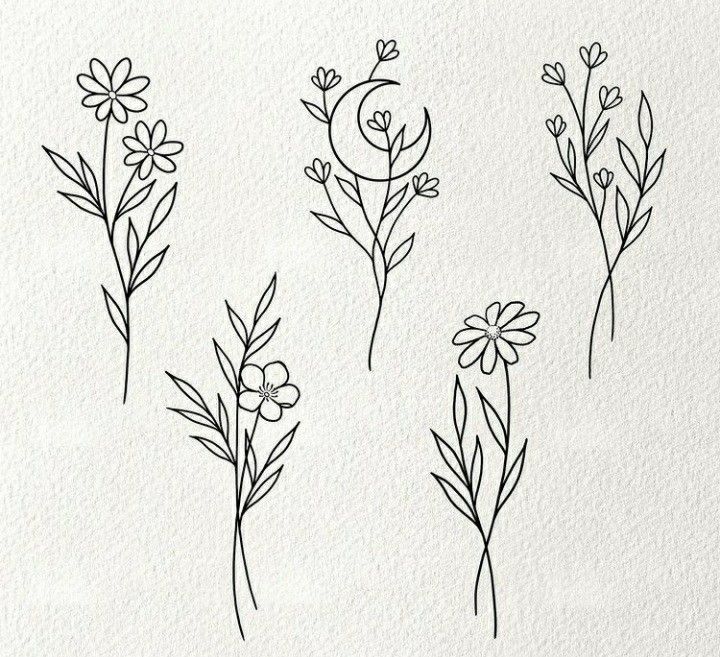 four different types of flowers drawn on paper