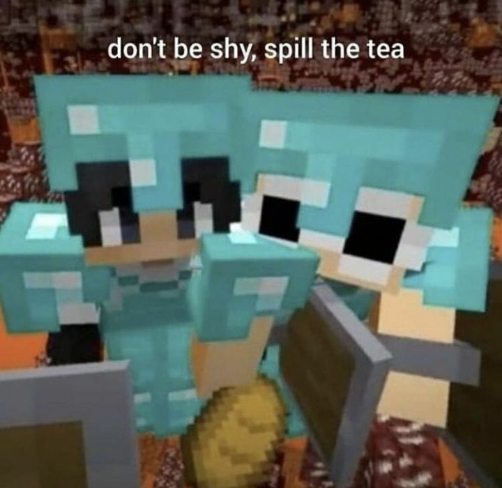 an image of two people in minecraft with the caption don't be shy, spill the tea