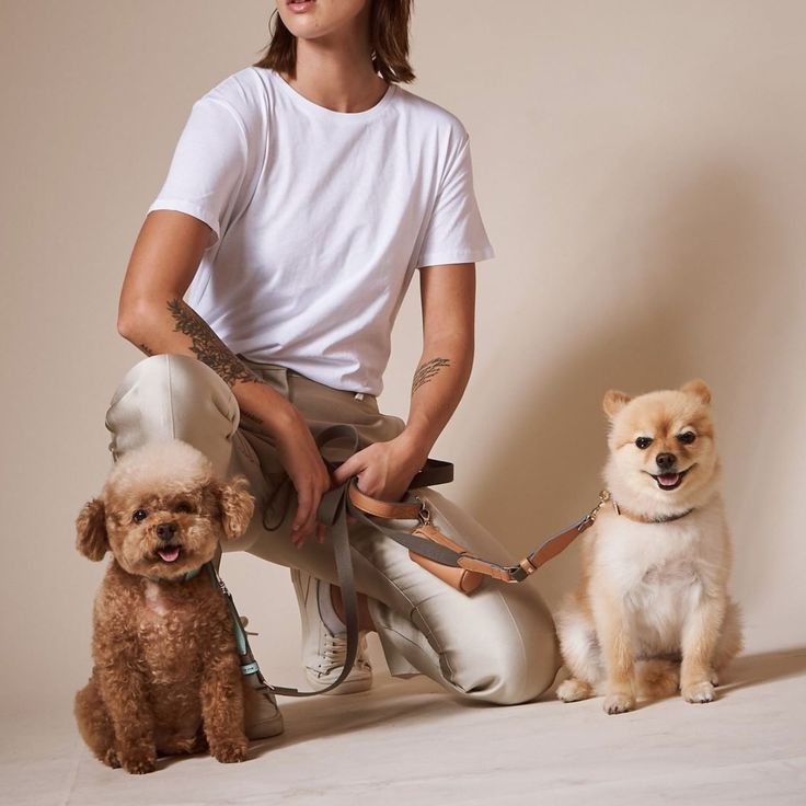 a man with three dogs on leashes sitting next to each other in front of a wall