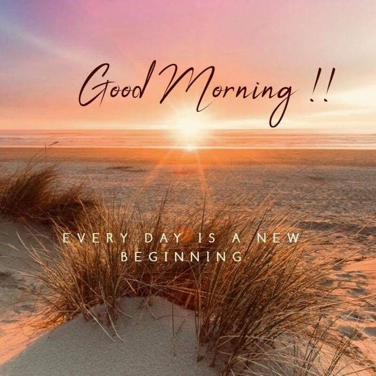 the words good morning are written in front of an image of sand dunes and grass