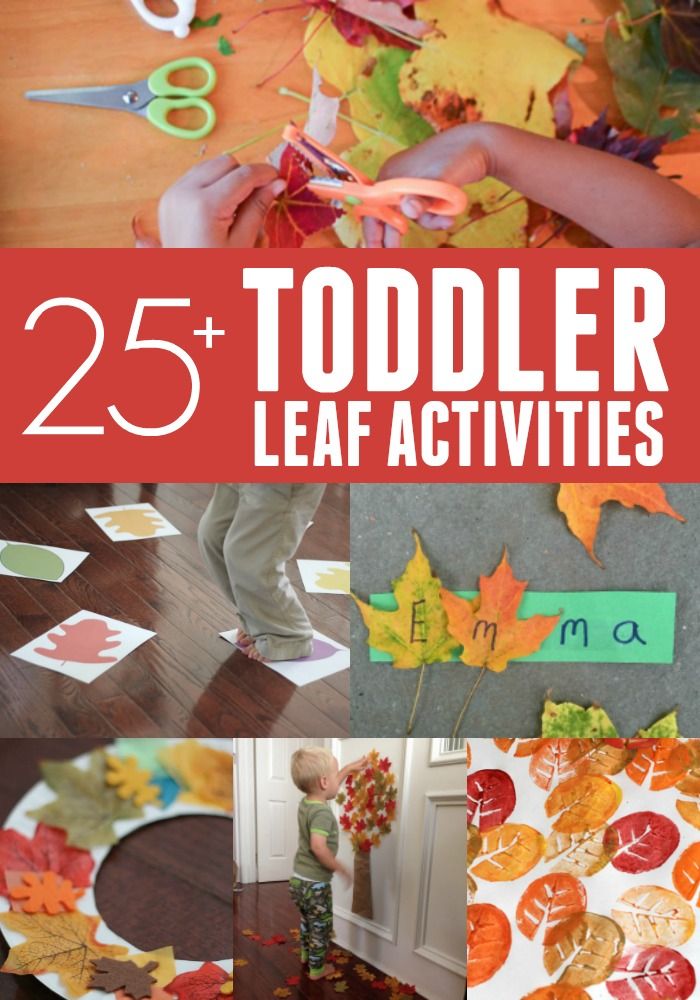 fall activities for toddlers to do with leaves