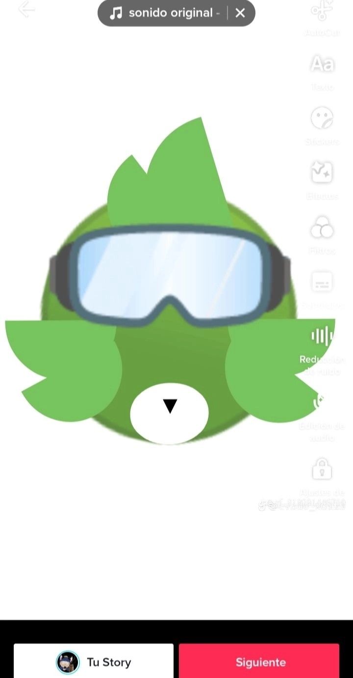 the app shows an image of a green animal wearing goggles