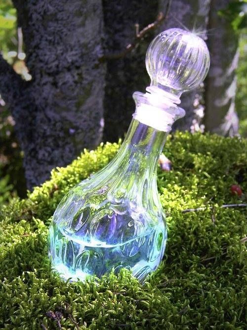 a glass bottle sitting on top of a moss covered ground