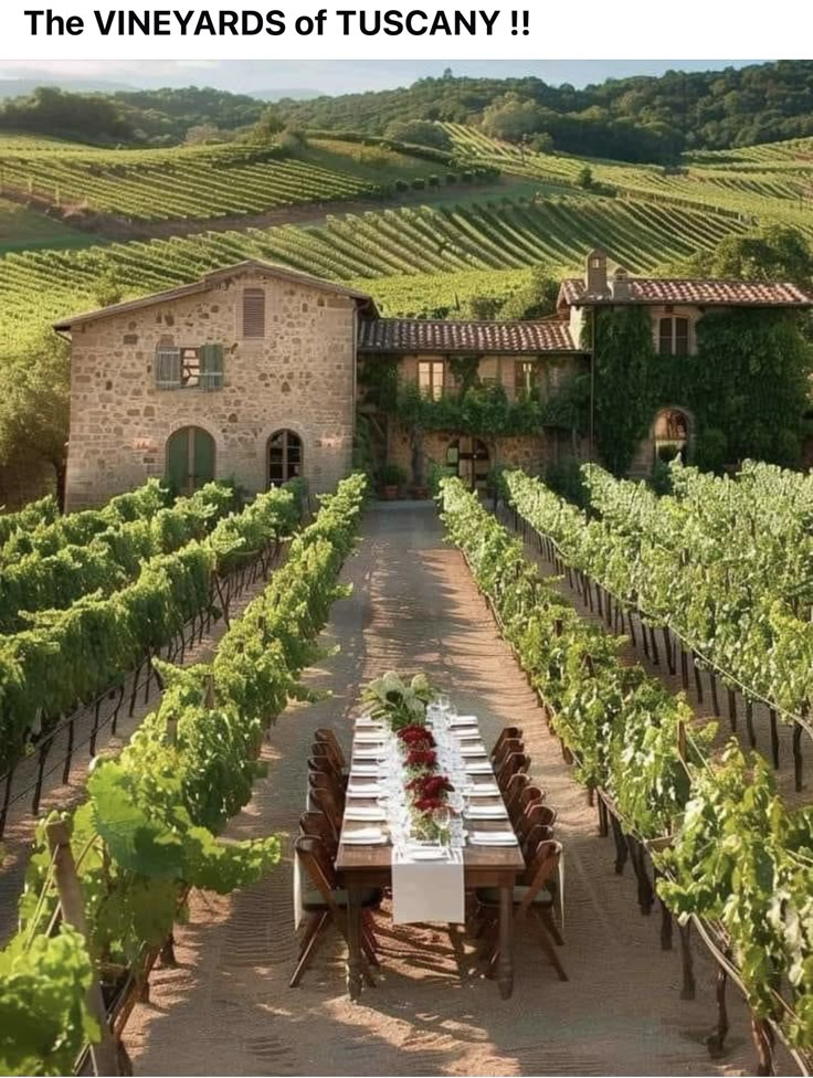 an outdoor dining table in the middle of a vineyard