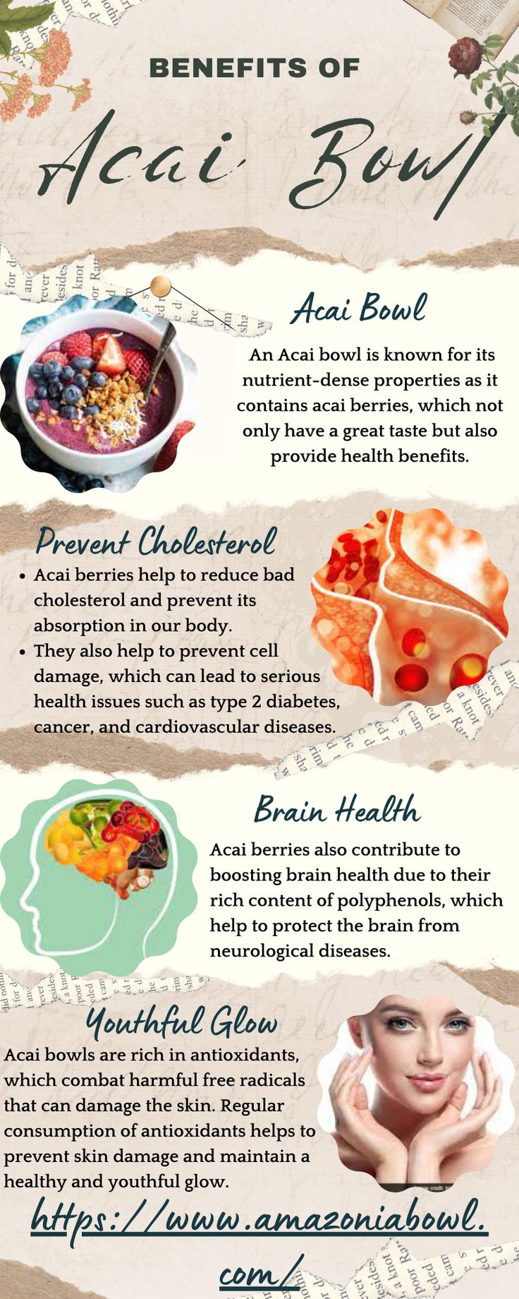 an info sheet with different types of food