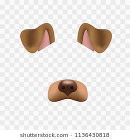 an animal's nose with two different angles to show it's shape and features