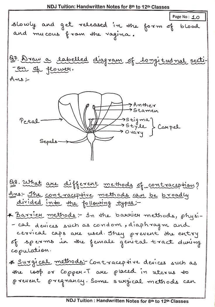 a handwritten paper with an image of a flower and its description in english language