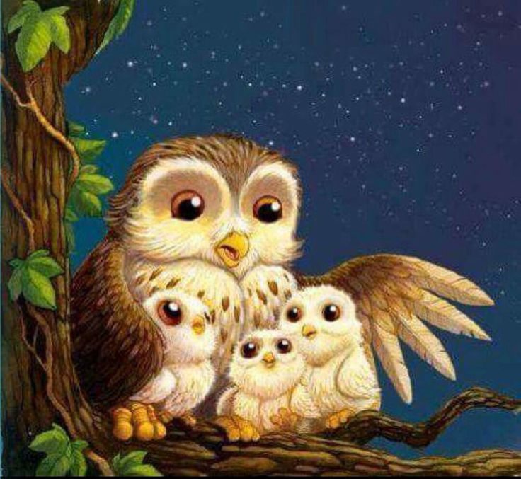 an owl family sitting on a tree branch at night