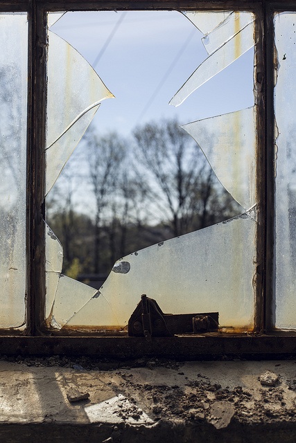 a broken glass window with the remains of a bag on it and trees in the background