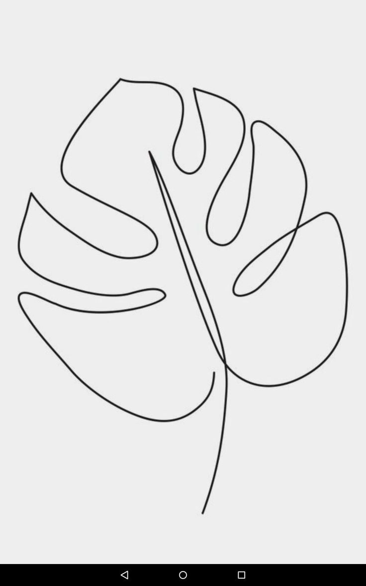 a black and white line drawing of a leaf