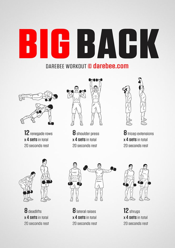 the big back workout poster shows how to do it