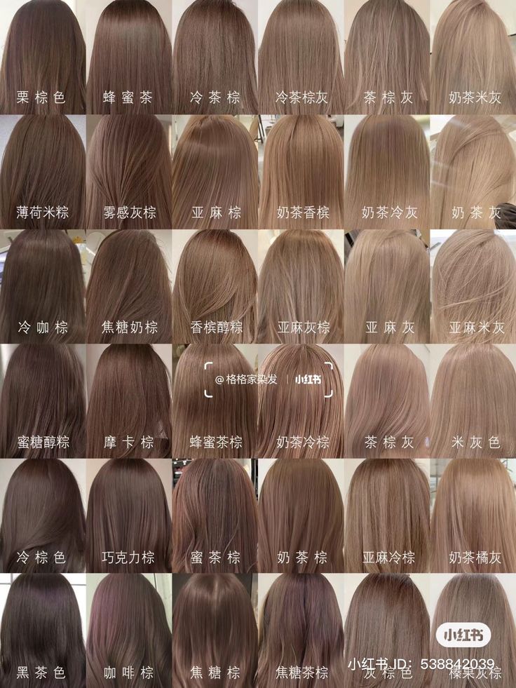 Mouse Brown Hair Color, Light Brown Hair Japanese, Korean Hair Dye Ideas, Xiaohongshu Hair, Mouse Brown Hair, Japanese Hair Dye, Milky Brown Hair, Curly Dyed Hair, Korean Haircare