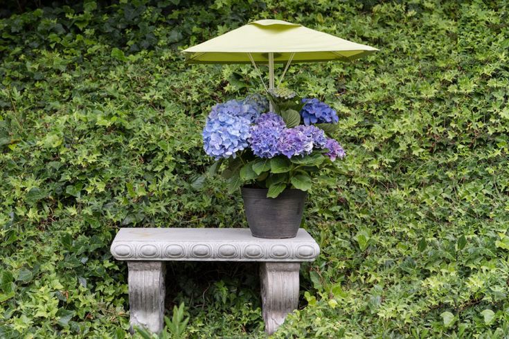 there is a small bench with flowers on it and an umbrella over the bench for shade