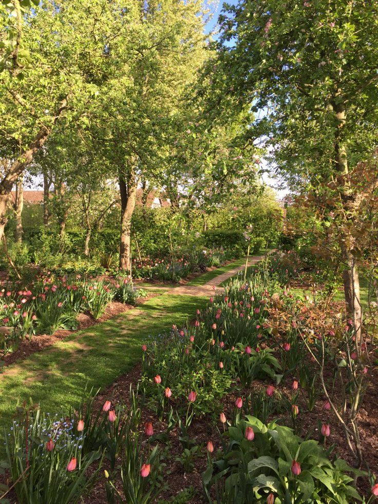 a path in the middle of some trees and flowers