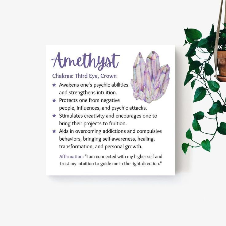 a card with an image of some plants on it and the words, amethystst