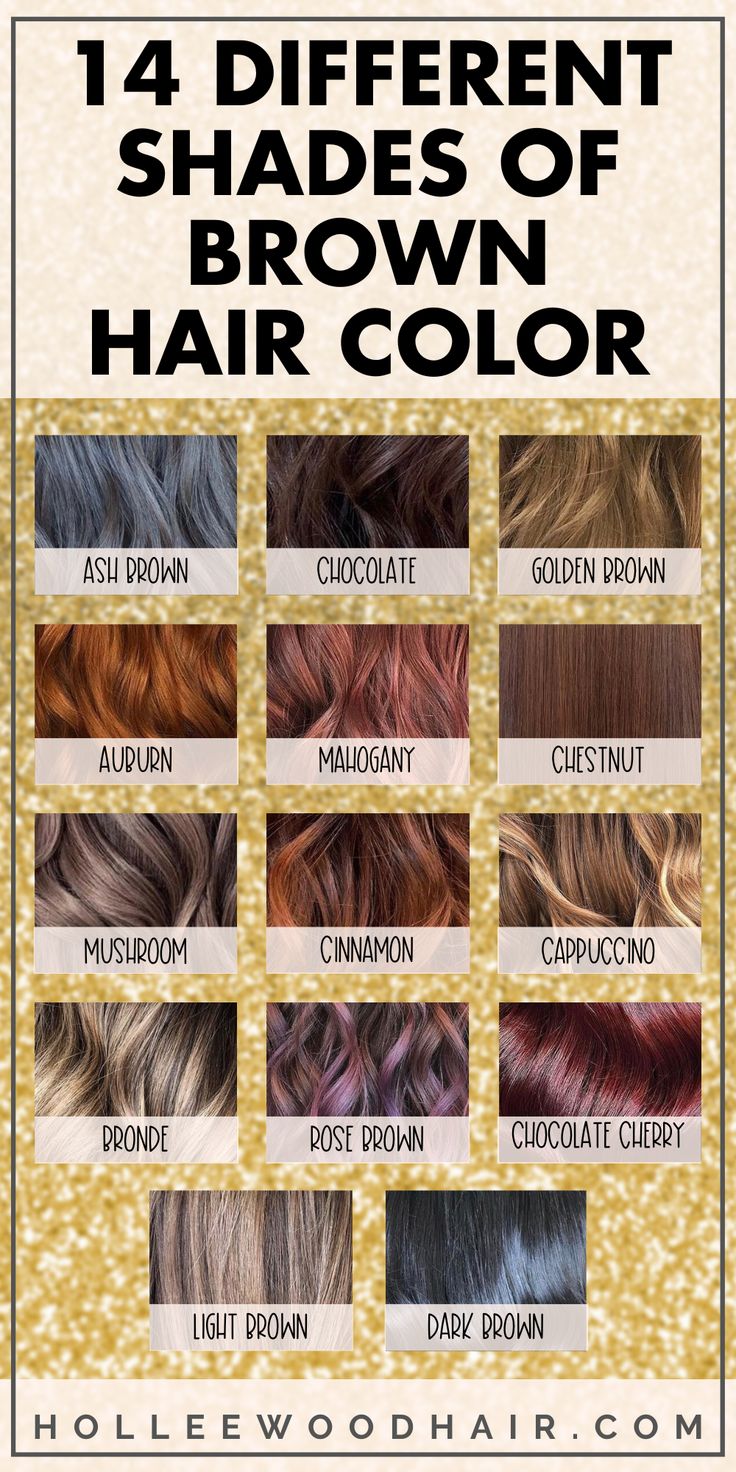 14 Different Shades of Brown Hair Color Chart Cool Brown Vs Warm Brown Hair, Healthy Hair Color Ideas, Multi Tonal Brown Hair, Cool Vs Warm Brown Hair, Different Shades Of Brown Hair, Shades Of Brown Hair Color, Brunettes Do It Better, Mushroom Brown Hair Color, Shades Of Brown Hair