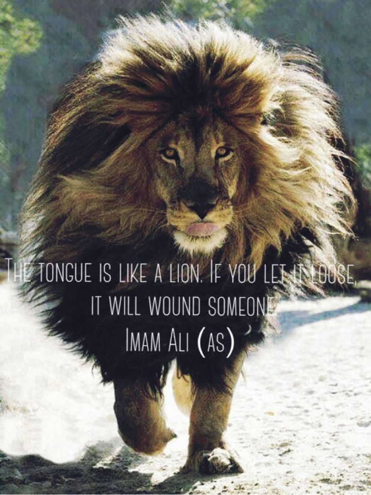 a lion walking across a snow covered ground with a quote on it's side