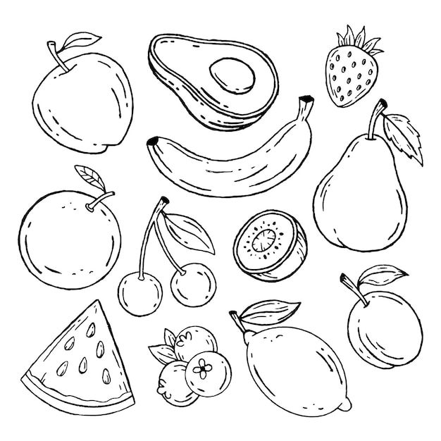 fruits and vegetables are drawn in black ink on a white background