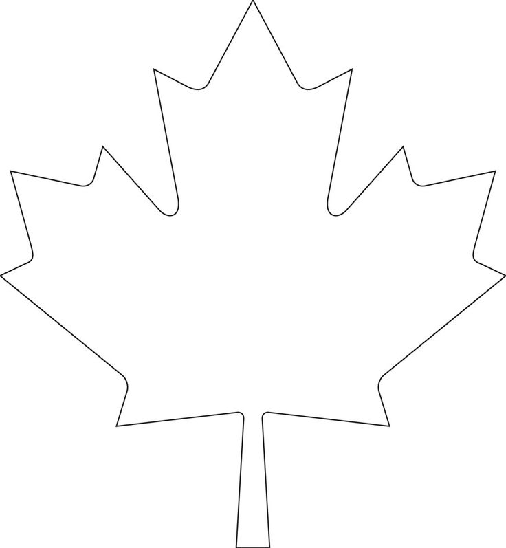 the outline of a maple leaf