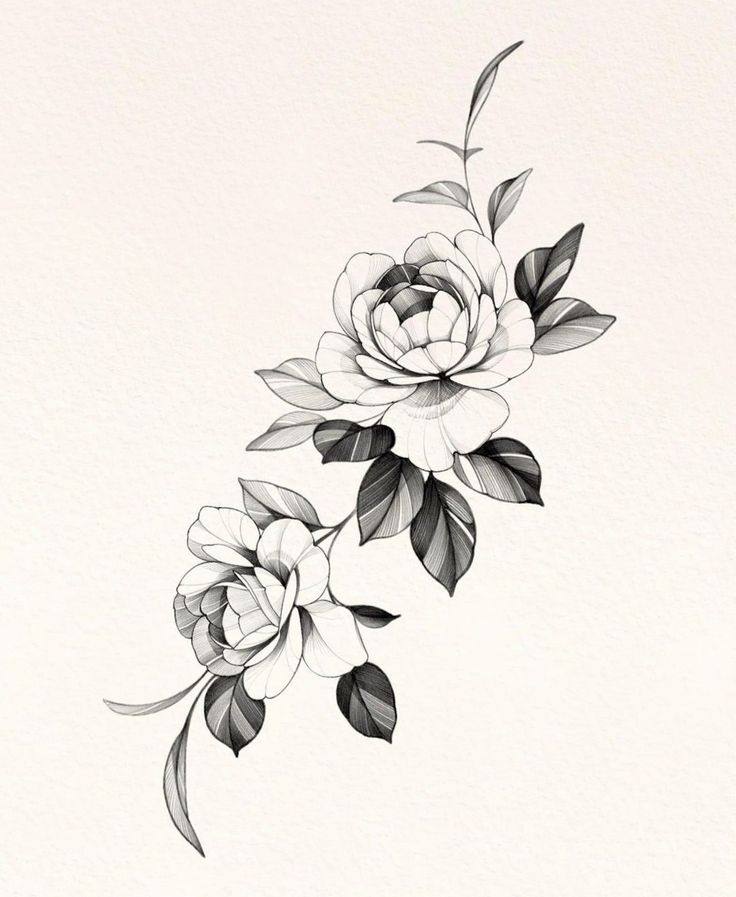 black and white flowers on a white background