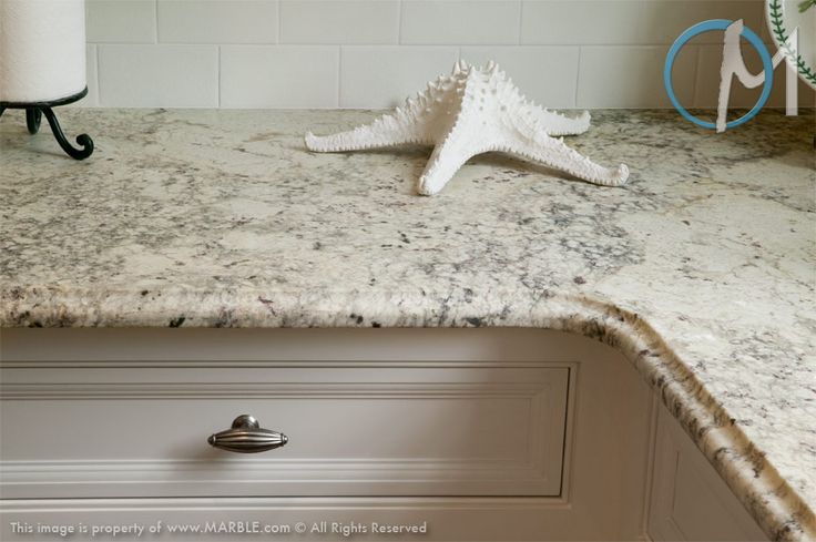 two starfish figurines sitting on top of a kitchen counter