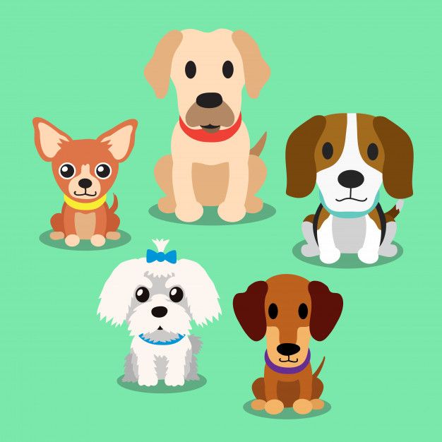 four dogs with different breeds and colors on a green background stock photo - image 3497